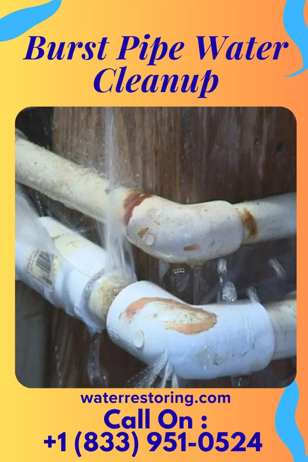 Burst Pipe Water Cleanup in McGovern, PA