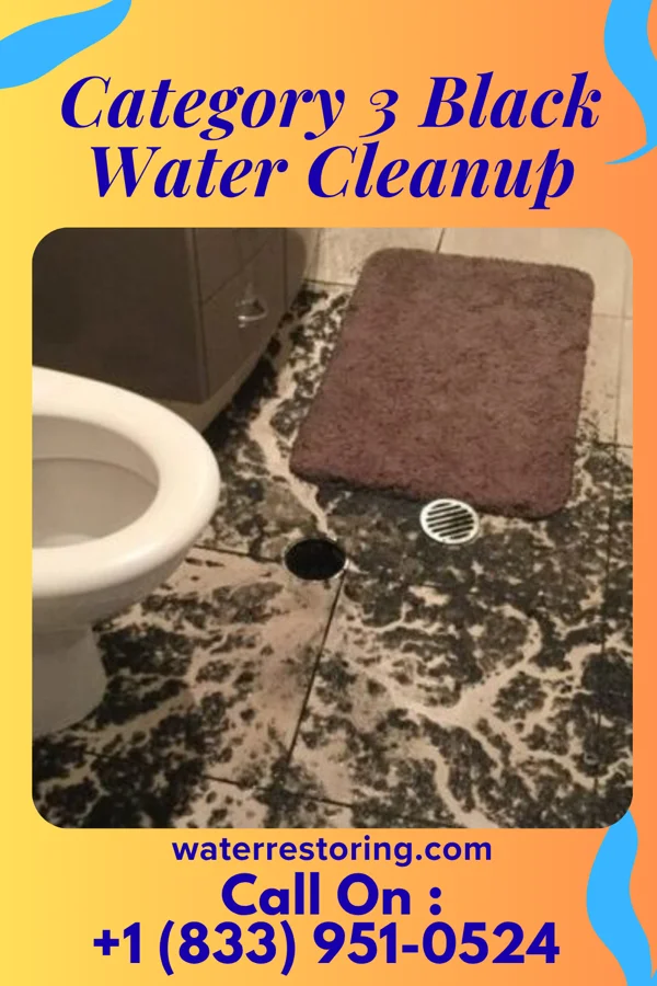 Category 3 Black Water Cleanup in McGovern, PA